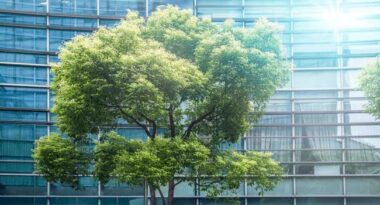 我和地球有个约定——从褐色经济至绿色经济