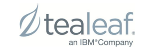 IBM Tealeaf cxConnect for Web Analytics
