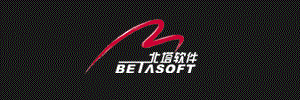 上海北塔软件股份有限公司