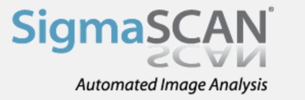 SigmaScan Pro