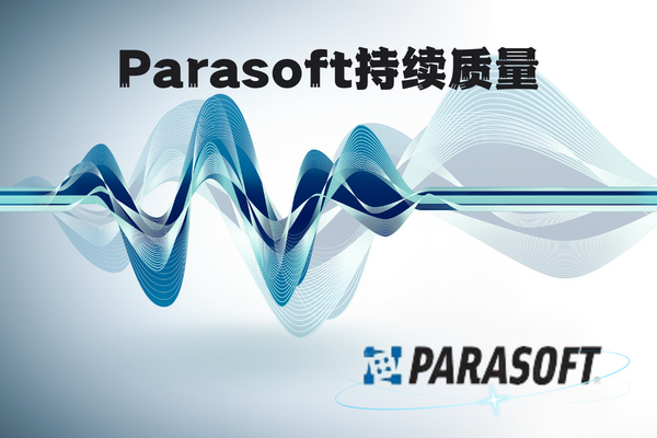 示例parasoft4.29