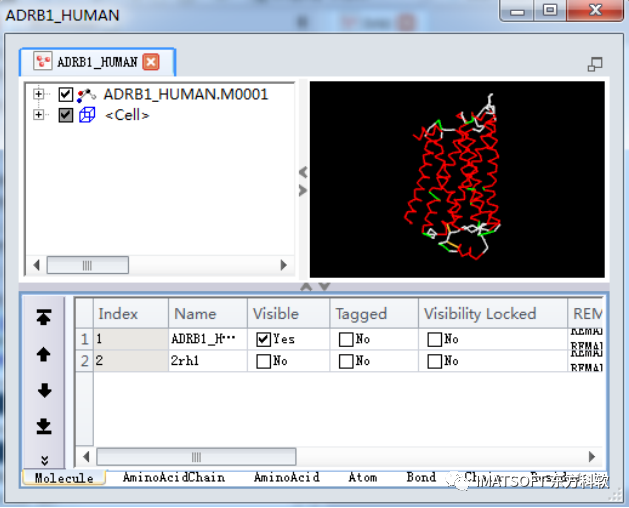 Discovery Studio官方教程（Help-Tutorials） 基于MODELER构建膜蛋白模型