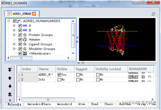 Discovery Studio官方教程（Help-Tutorials） 基于MODELER构建膜蛋白模型