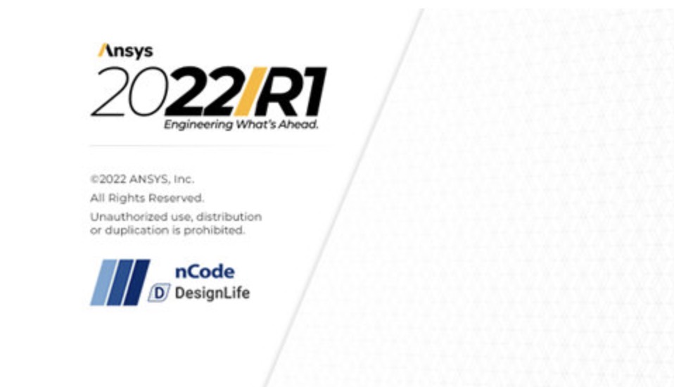 ANSYS 2022 R1 nCode DesignLife