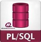 PLSQL Developer 15.04