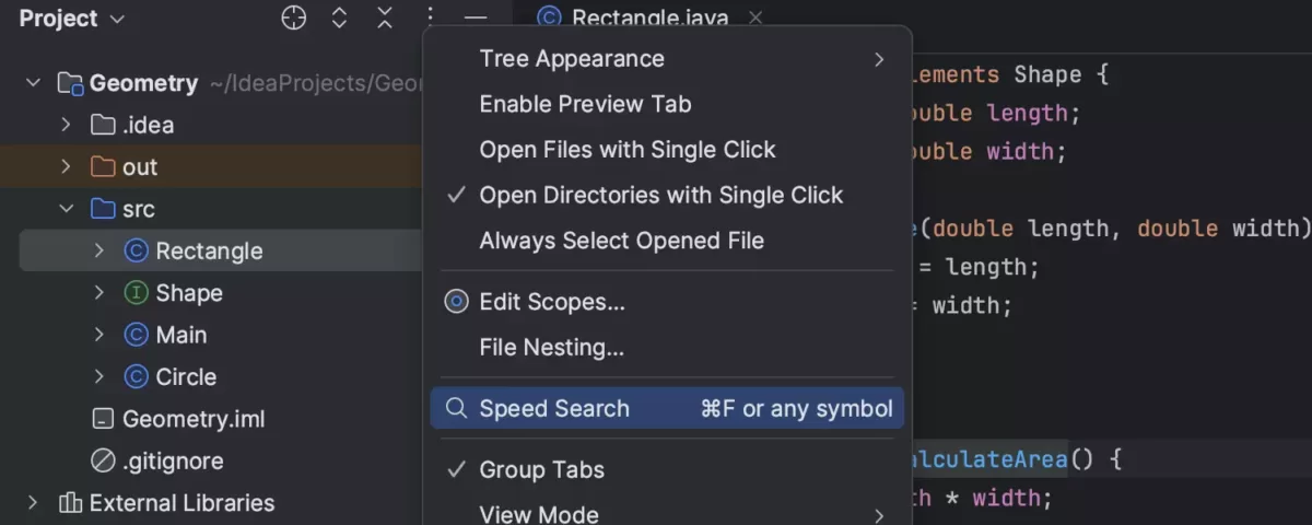 JetBrains Intellij IDEA Ultimate Speed Search（快速搜索）快捷键1